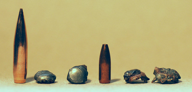 6,5 mm Bleigeschosse und deren Reste